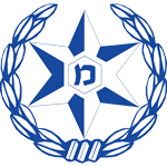 דוחות משטרה